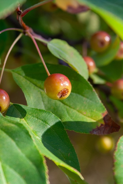 球队的胜负 球队的胜负