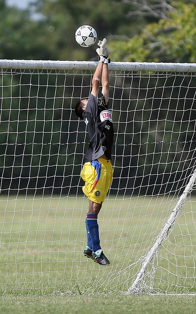 其顽强的防 其顽强的防