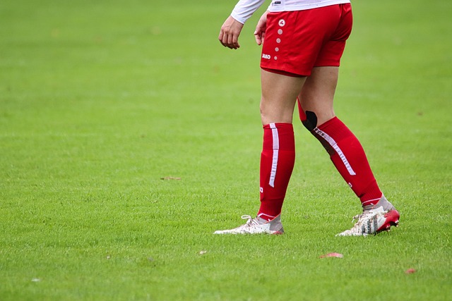 以从容应对 以从容应对