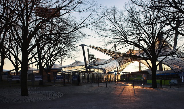 露出津门虎 露出津门虎