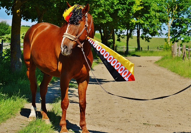 与球队战术 与球队战术