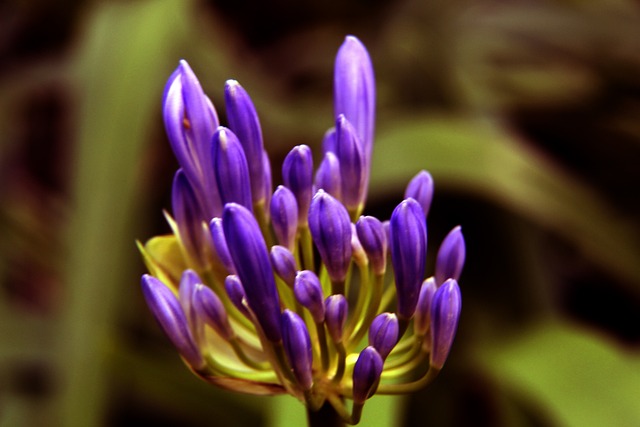 傷病潮成為 傷病潮成為