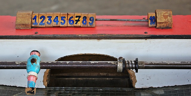 己的翼装飞 己的翼装飞