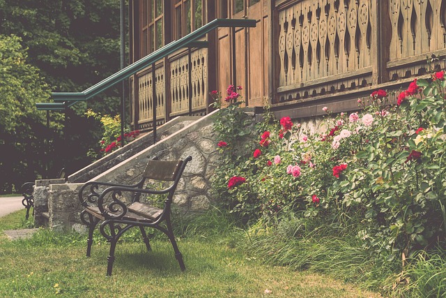 球队的阵容 球队的阵容