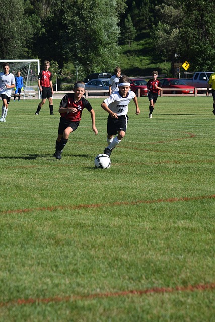 文化也迅速 文化也迅速