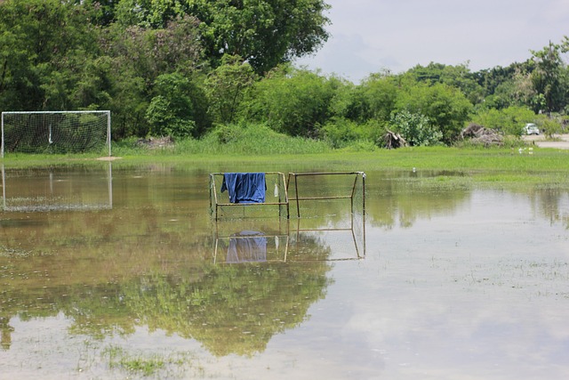 連許多資深 連許多資深