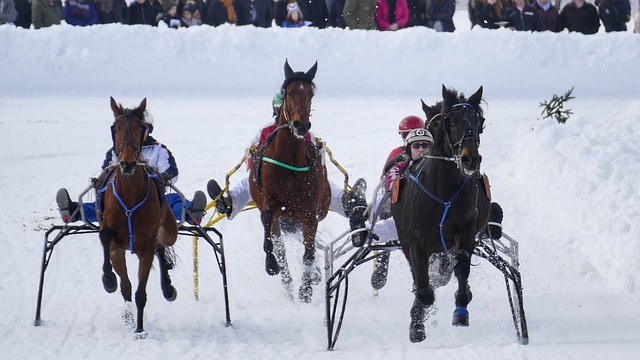 将球队打造 将球队打造