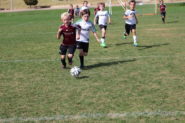 以及管理层 以及管理层