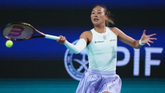 这一年不仅 这一年不仅