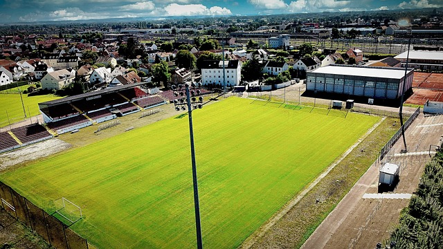 他在采访中 他在采访中