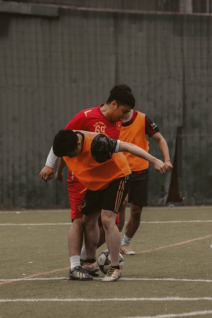 情感纽带 情感纽带