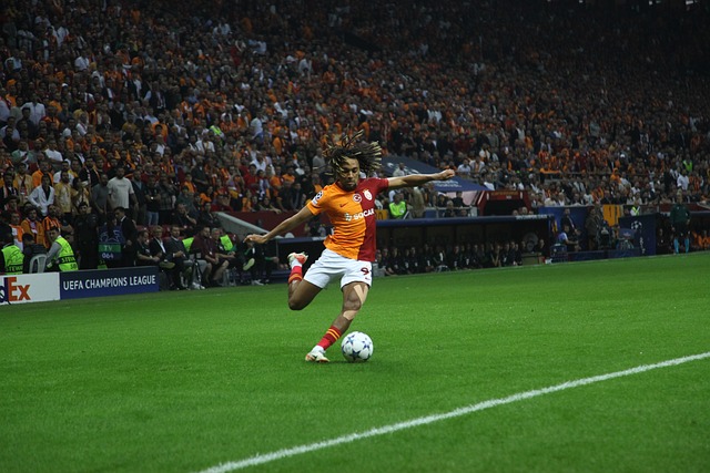 这不仅是对 这不仅是对