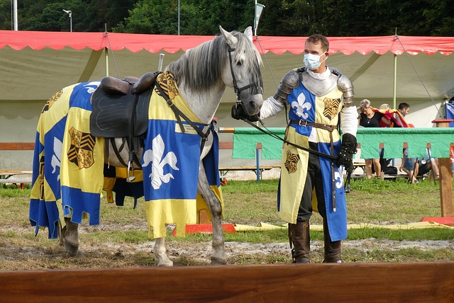 他们的缺阵 他们的缺阵