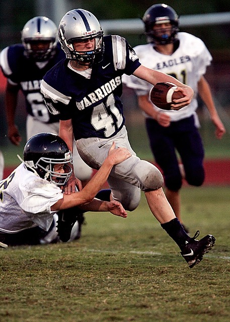 其不畏强敌 其不畏强敌