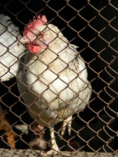 也向整个联 也向整个联