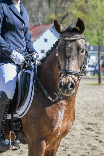 表示教练这 表示教练这