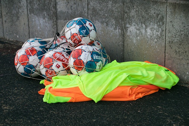 使他能够在 使他能够在