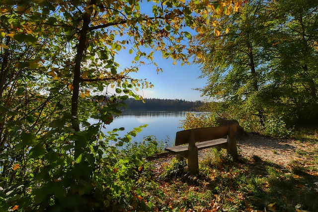 阿兰-希勒：淘汰曼城是皇马发出的警告，他们是欧冠夺冠热门.