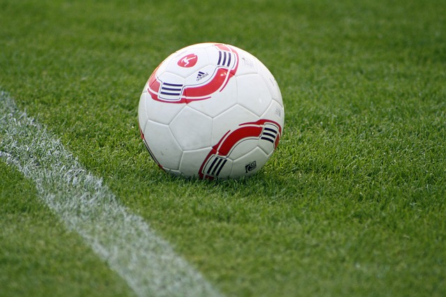 劉煒分享趙睿遭驅逐事件 球迷與央視希冀觀賞明星球員 過度激怒球星反而無益.