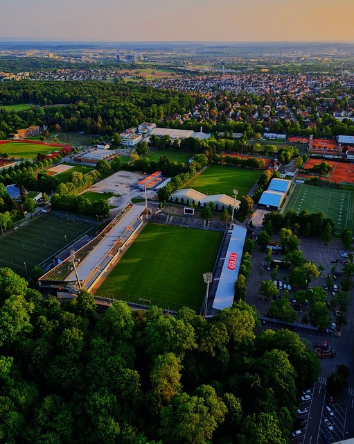 高水平的足 高水平的足