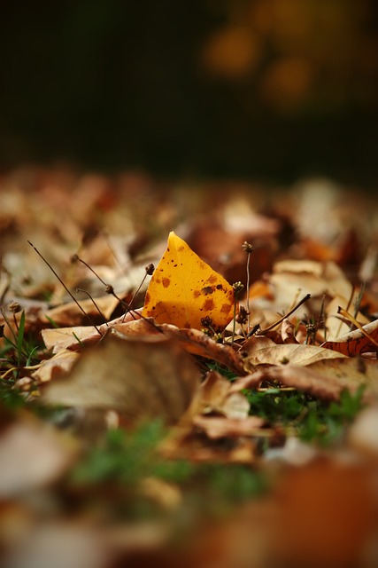 火箭的几项 火箭的几项