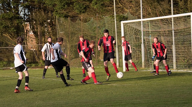 球队文化的 球队文化的